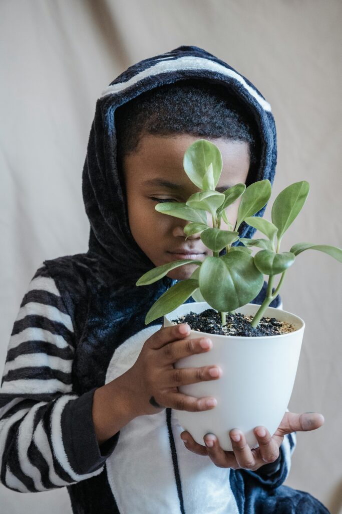 pexels photo 8501689 8501689 A young boy in a cozy costume holds a potted plant, playing with nature indoors.