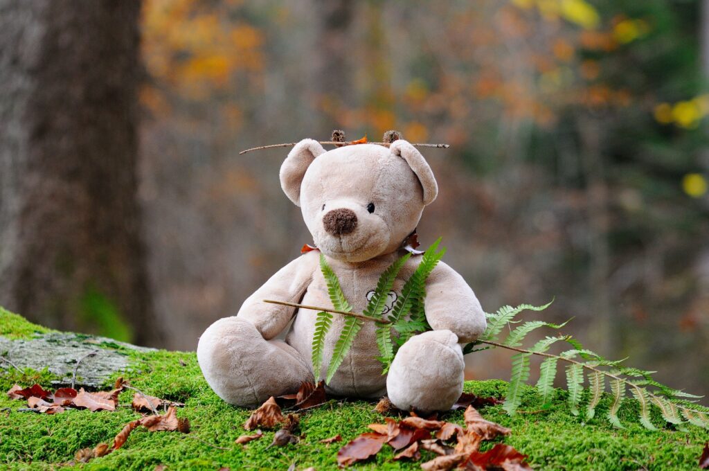 Cute teddy bear surrounded by moss and autumn leaves in a forested area.